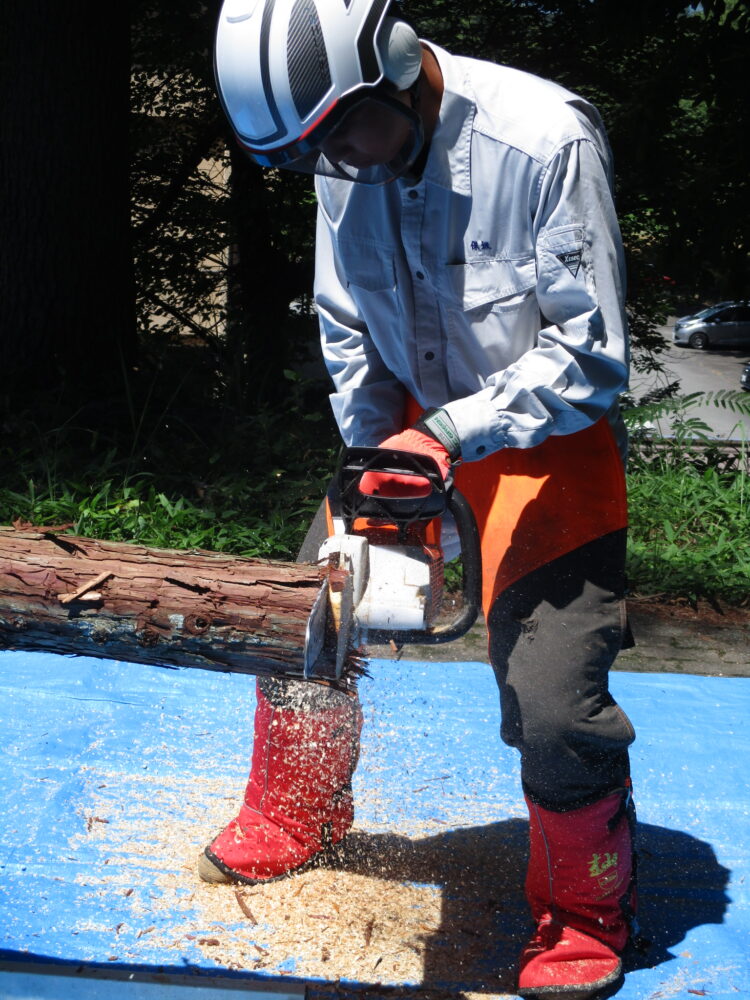 チェーンソー操作体験