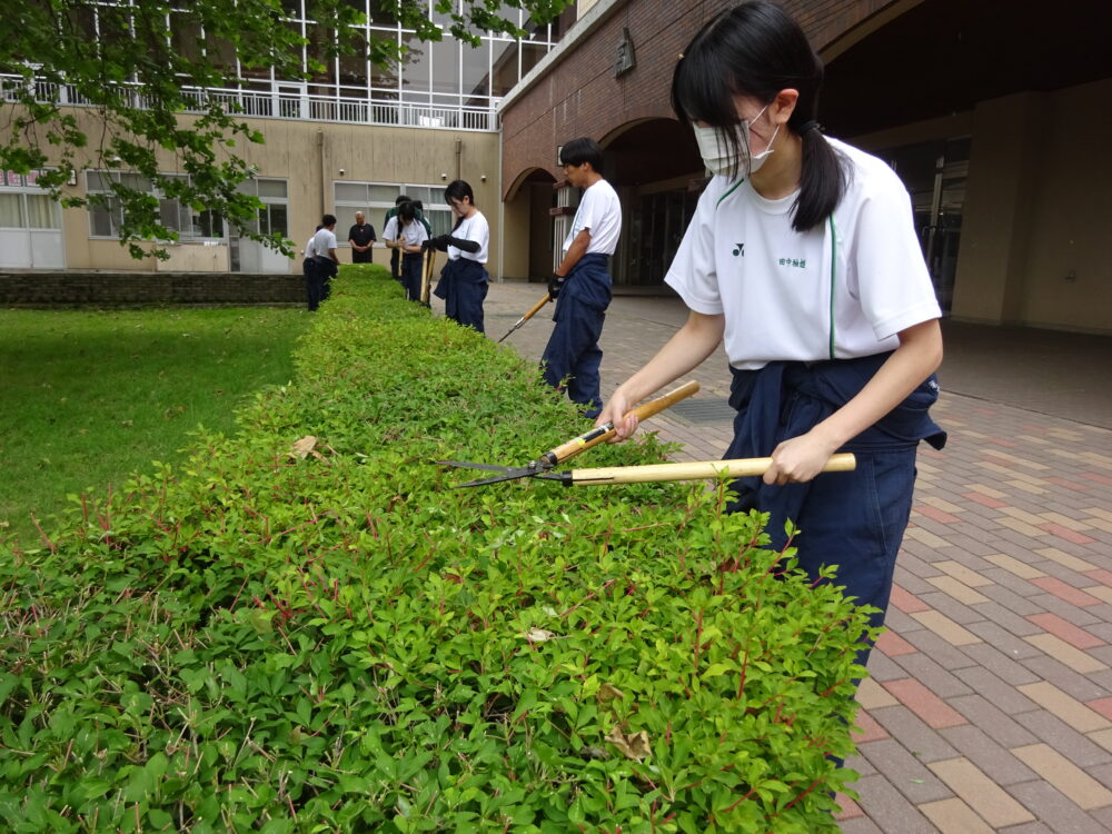 造園植栽（ツツジ刈り込み３）